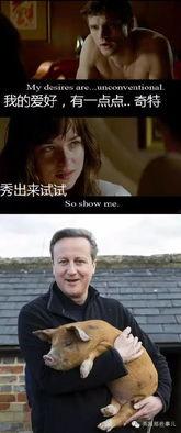 大头黑历史爆料最新,那些鲜为人知的黑历史瞬间